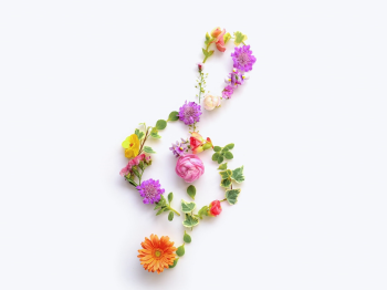 やすだ音楽教室